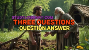 Three Questions Question Answer