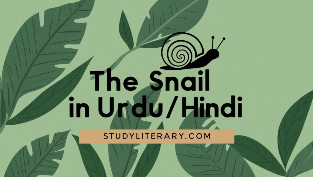 The Snail in Urdu/Hindi