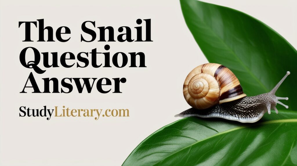 The Snail Question Answer