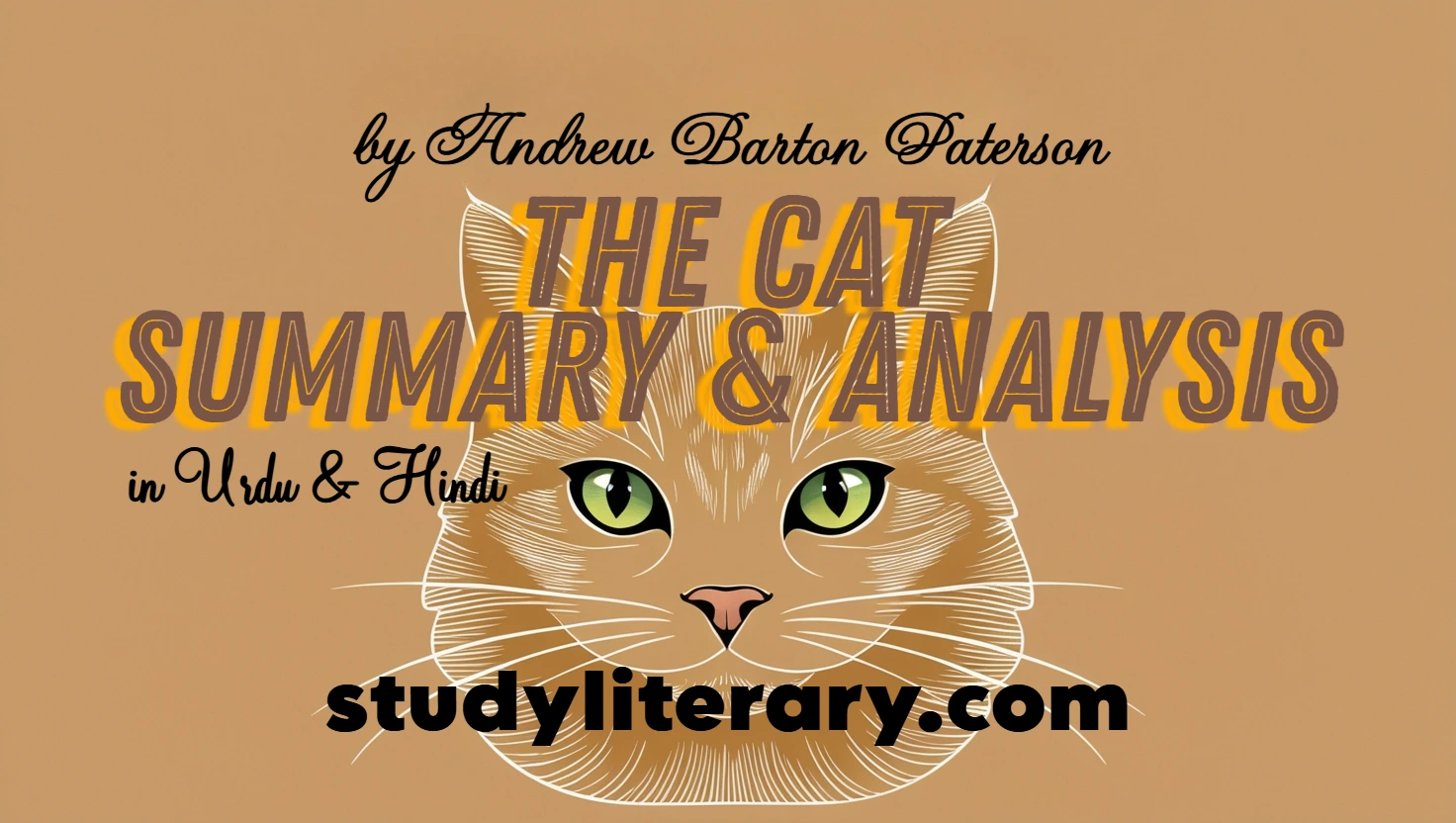 The Cat Class 10: Summary and Analysis - studyliterary.com