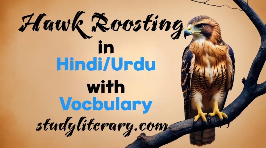Hawk Roosting in Hindi/Urdu with Vocabulary