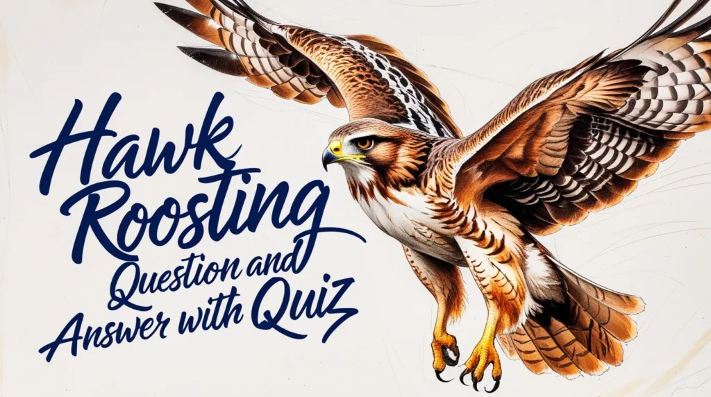 Hawk Roosting Question and Answer with Quiz | Semester 4 | Class 12 (WBCHSE)