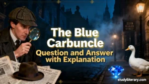 The Blue Carbuncle Question and Answer